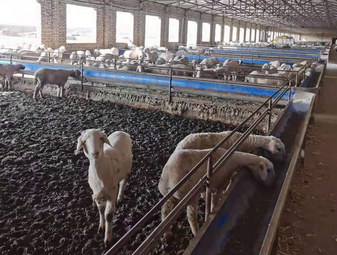 73f2aef84610b85a7a508145350d49f.jpg 73f2aef84610b85a7a508145350d49f.jpg